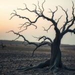 45 Metaphors for Death