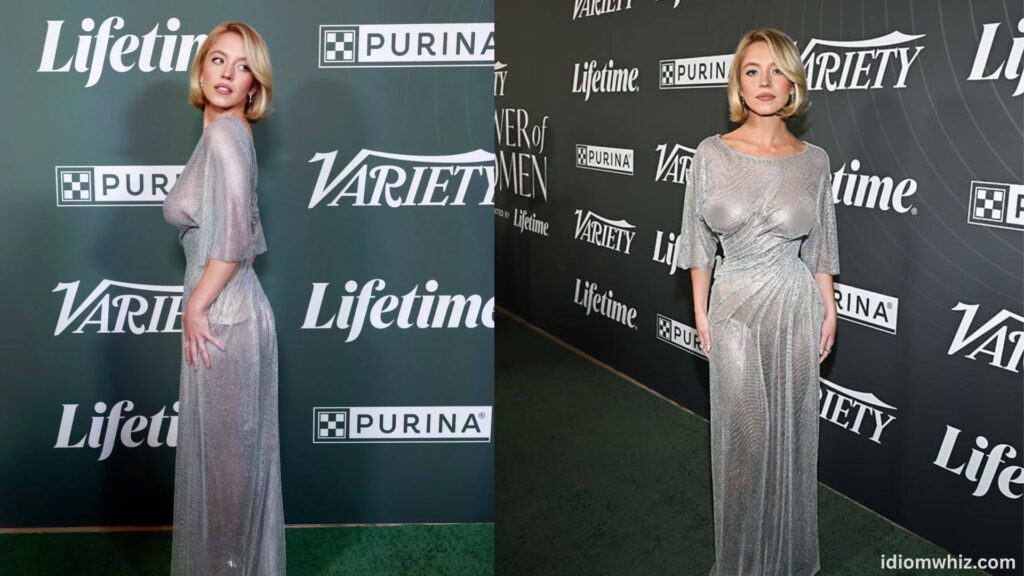 Sydney Sweeney Silver Dress