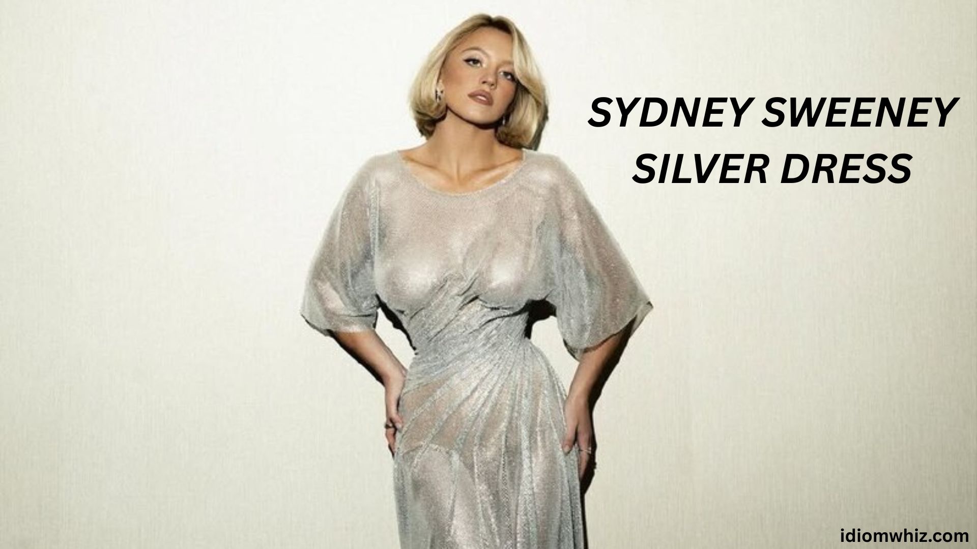 Sydney Sweeney Silver Dress